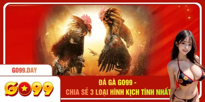 Đá Gà Go99 - Chia Sẻ 3 Loại Hình Thi Đấu Kịch Tính Nhất